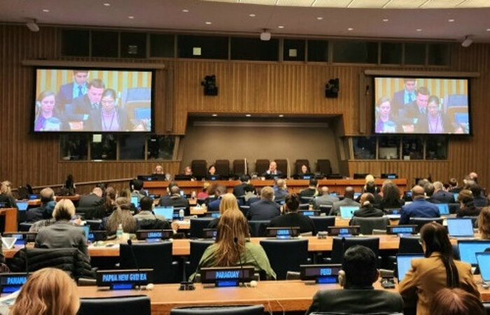 Туркменистан в ООН озвучил принципы работы с глобальной отчетностью по ЦУР