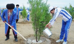 В Туркменистане пройдет весенняя озеленительная акция