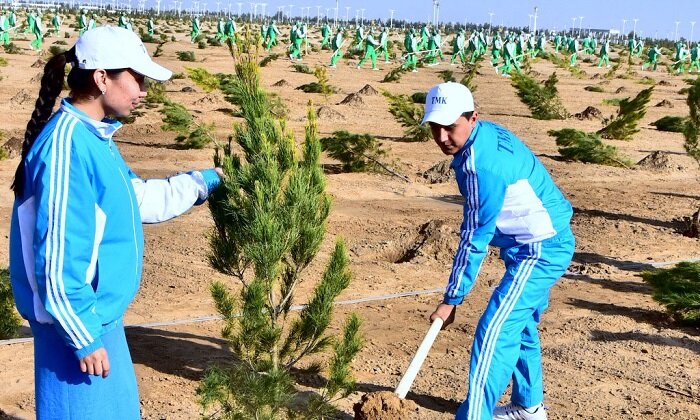 В Туркменистане 16 марта пройдёт всенародная озеленительная кампания