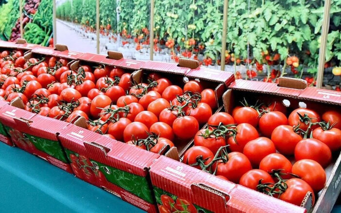 Туркменистан по морю доставил в российский порт Оля партию свежих томатов