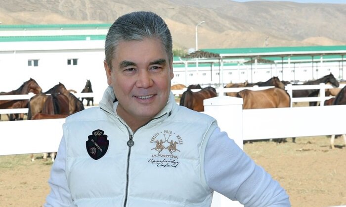Туркменистан и Германия обсудили развитие коневодства