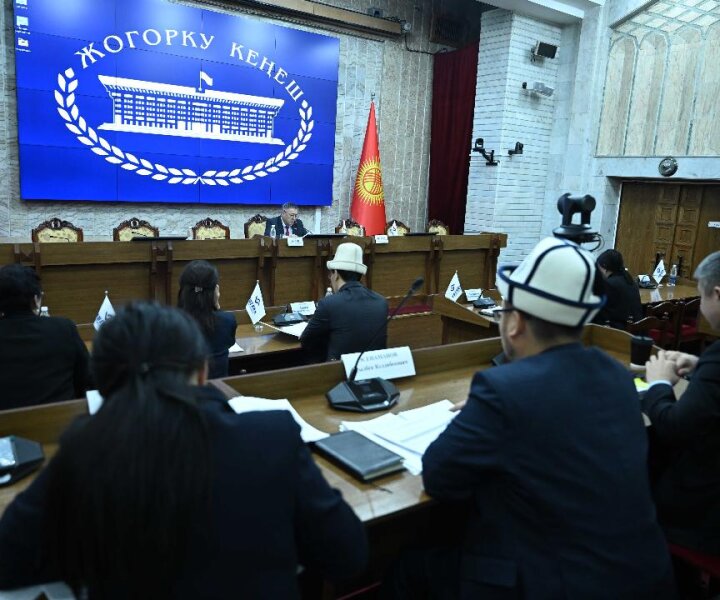 Депутат возмутилась из-за  стоимости ипотечного жилья в Киргизии 